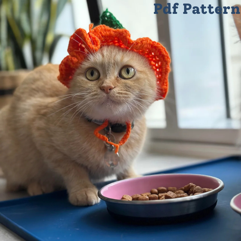 Crochet cat hat pattern, flower hat (PDF Pattern)